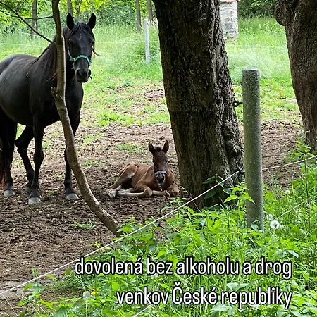 Caravan On Farm * Otradovice