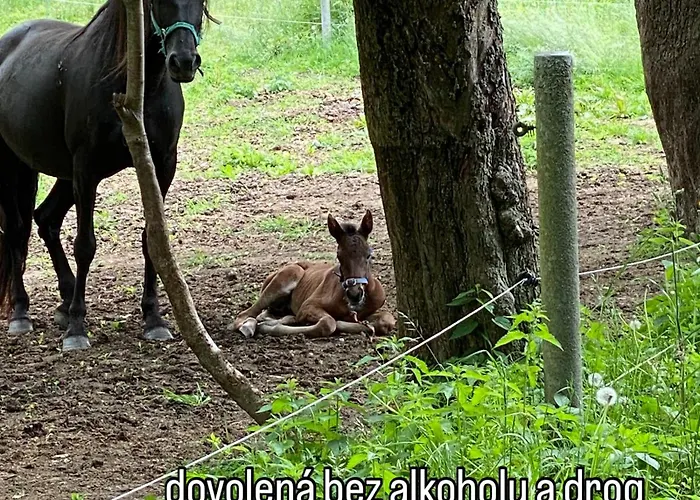 Caravan On Farm * Otradovice